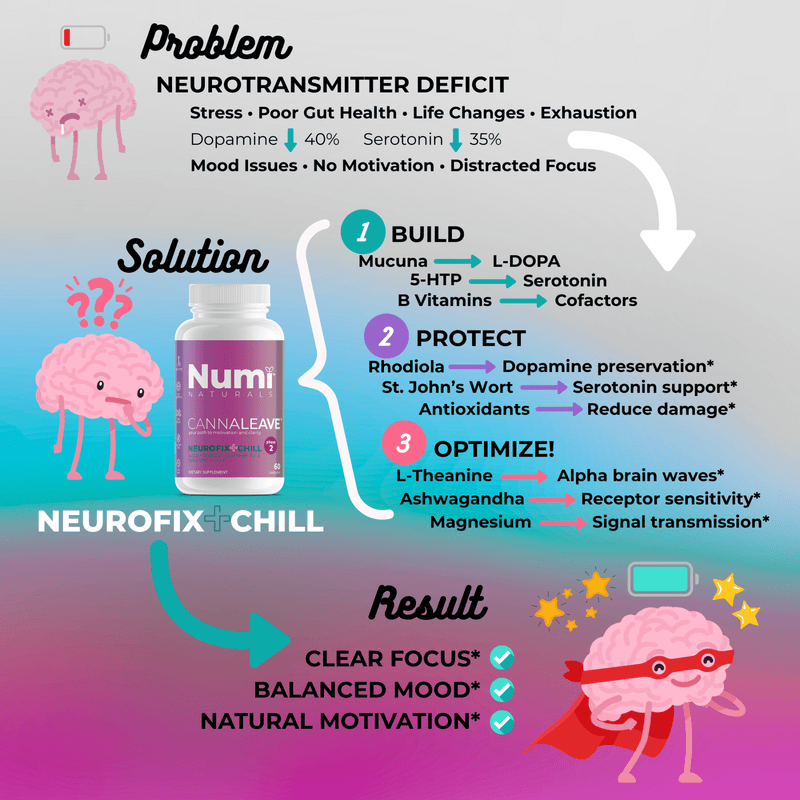 Neurofix+Chill natural dopamine supplement - The Reset Phase 2 - Numi Naturals