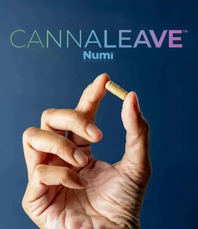CANNALEAVE Sleep+Recover - Restorative Sleep* Relaxed Mood* 60 capsules - Numi Naturals