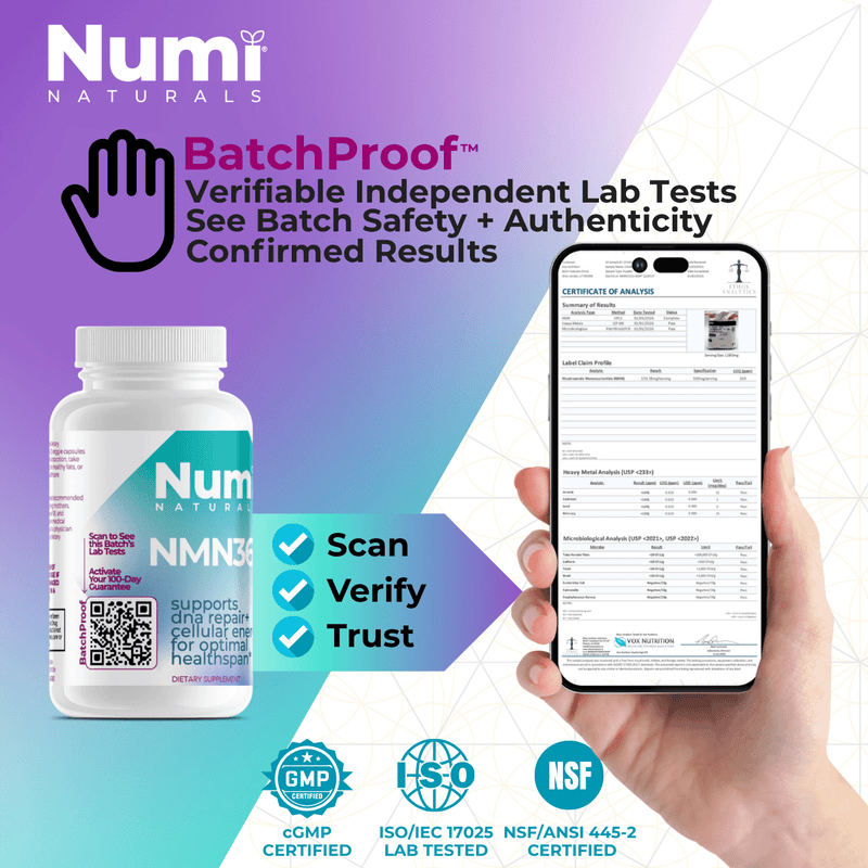 NMN360 - Numi Naturals