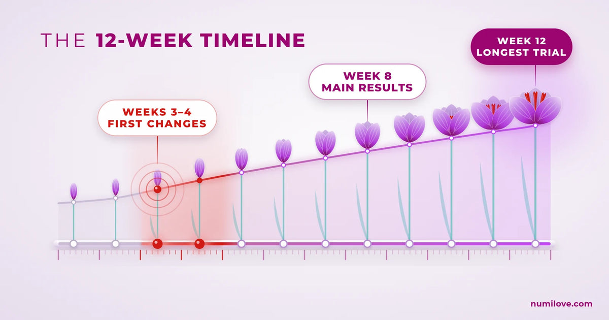 A 12-week saffron timeline from clinical trials: first changes at weeks 3 to 4, main results at week 8 and the longest trial at week 12